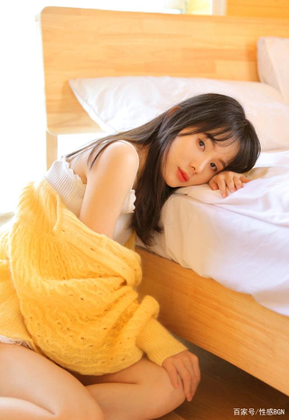 应用功能展示界面